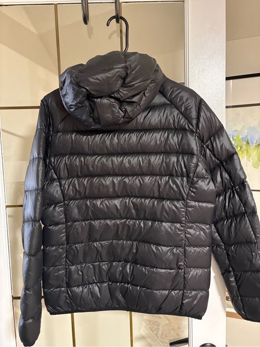 Trespass Black Quilted Hooded Down Jacket - Picture 4 of 4